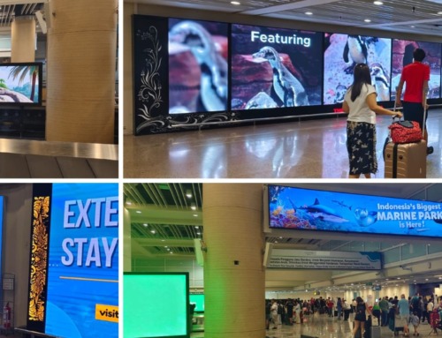 Bali Safari Roars to Dominance: Unstoppable Advertising
Takeover at Bali Airport