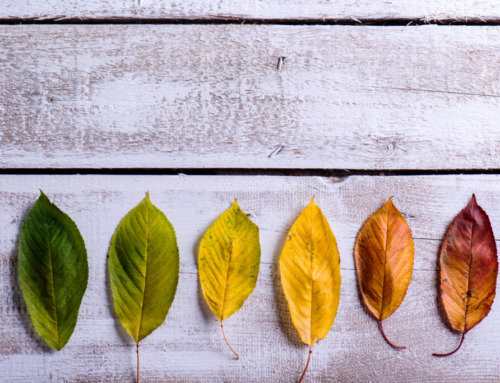Fall Shopping Billboards | Driving Attention During Seasonal
Transitions