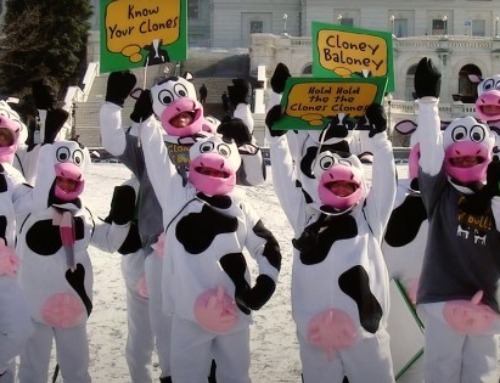 Ben &amp; Jerry Built the Brand. Magnum’s IPO
Ignores That at Its Peril.