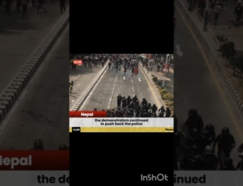 When Leaders Collapse, Crowds Take Over