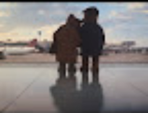 Heathrow Bears Fly Again in New heartwarming Campaign by St
Luke’s