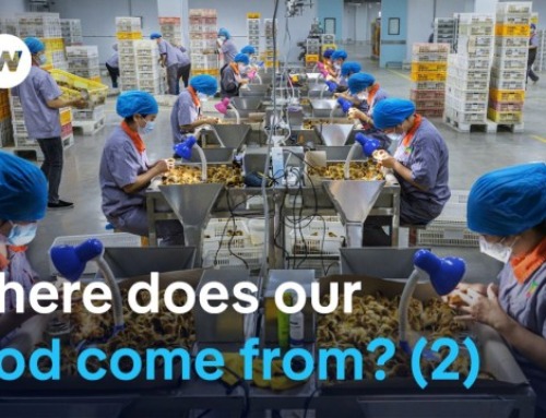 Food for thought – The hidden realities of farming