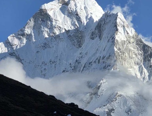 Wildstone’s Damian Cox raises £165K with brutal charity
climb