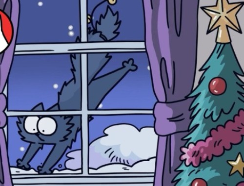 TEDDY’S STORY…so far