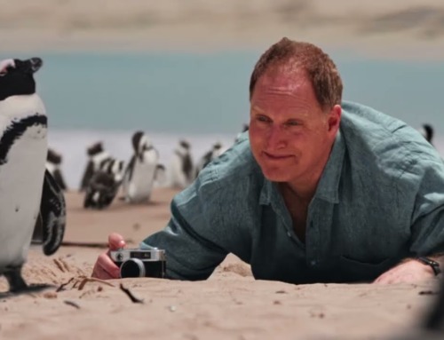 Is banking on Lloyds really a good idea?