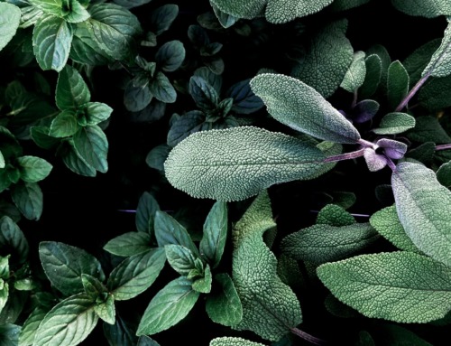 Say Hello To SAGE, The Latest Agentic AI Platform