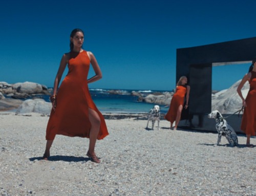 VCCP and Primark go ‘shockingly chic’ for spring
campaign