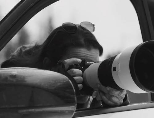 Wildlife Photographer Takes Jeep Cherokee Hybrid Deep In the
Woods