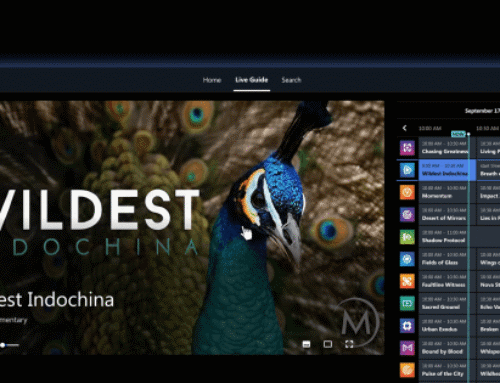 HP Quietly Launched a Streaming App to Grow Its Advertising
Ambitions