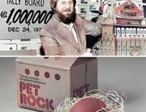 George Parker: Pet Rock Particulars