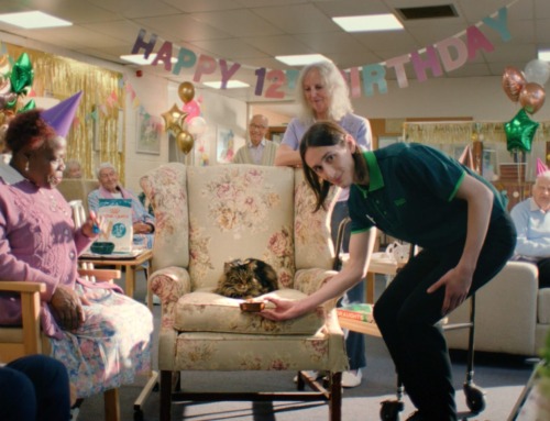 Pets at Home: indulgent owners & expert staff star
in new campaign