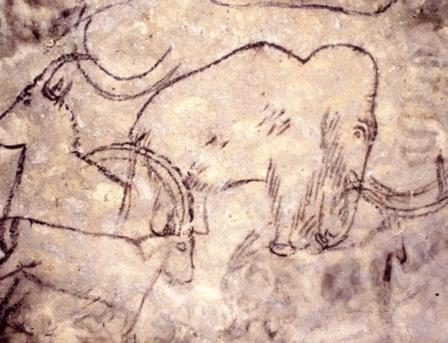 Dismantling the AI Marketing Mammoth