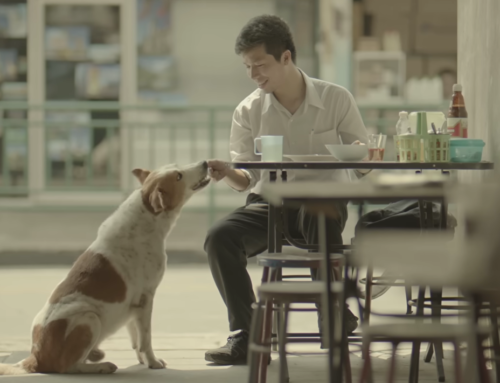 If a Commercial Ever Made You Cry, Thai Life Insurance
Probably Did It