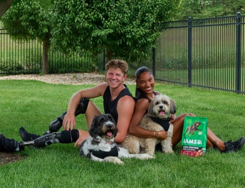 The Dog Run Marathon