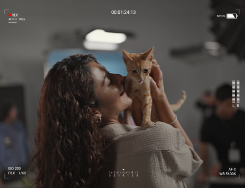Adoption Catsting