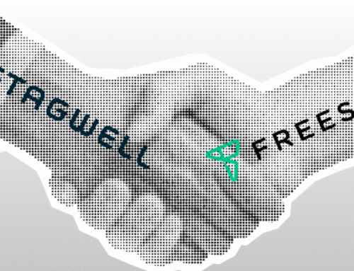 Stagwell Snaps Up Freestar to Bolster Owned Media
Ambitions